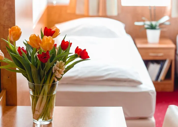 Allegro Hotel 3*